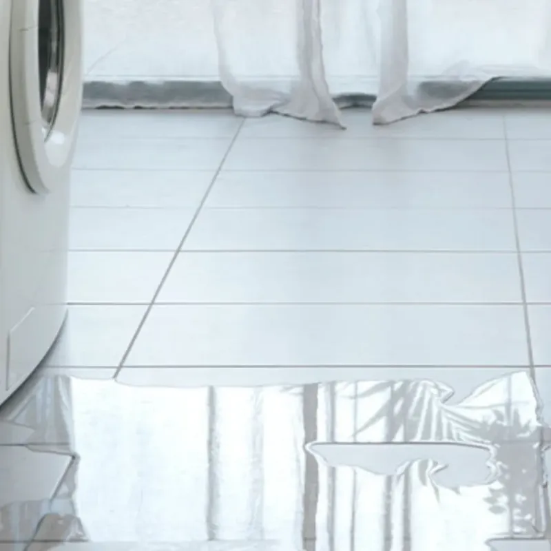 Appliance Leak Cleanup in Pratt County, KS