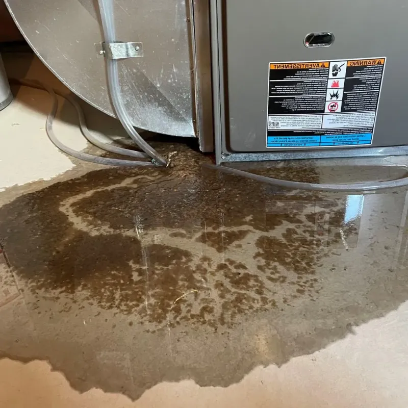 Pipe Burst and Leak Restoration in Pratt County, KS