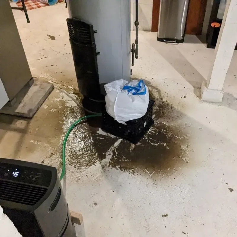 Sewage Backup Cleanup Service in Pratt County, KS
